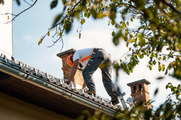 Best Roof Insulation Installation  in Yorkville, WI