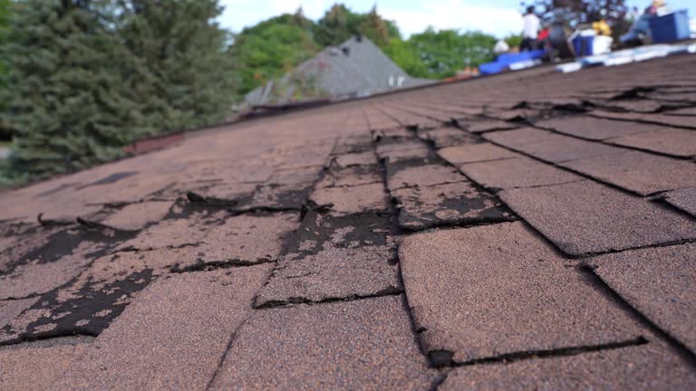 Best Gutter Installation and Repair  in Yorkville, WI