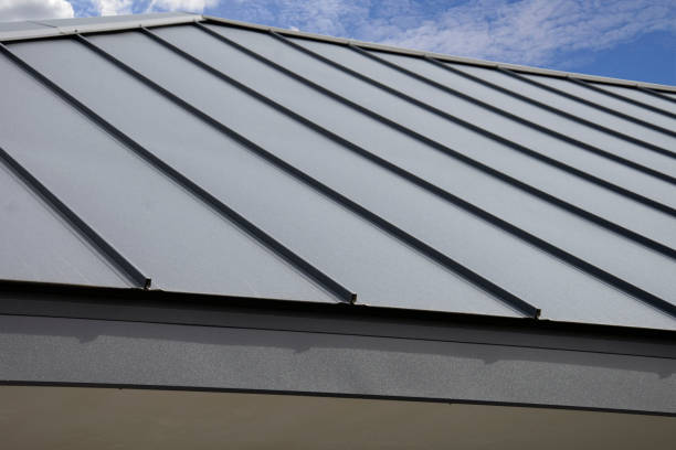 Best Roof Moss and Algae Removal  in Yorkville, WI